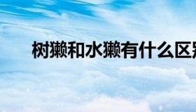 树獭和水獭有什么区别（树獭怎么读）