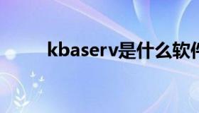 kbaserv是什么软件（kbasesrv）