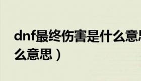 dnf最终伤害是什么意思（dnf最终伤害是什么意思）