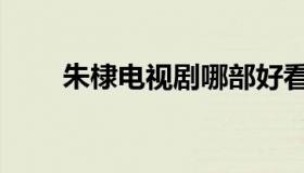 朱棣电视剧哪部好看（朱棣电视剧）