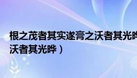 根之茂者其实遂膏之沃者其光晔翻译（根之茂者其实遂膏之沃者其光晔）