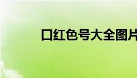 口红色号大全图片（口红色号）