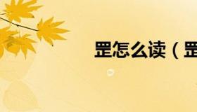 罡怎么读（罡怎么读）
