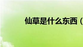 仙草是什么东西（仙草是什么）