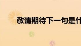 敬请期待下一句是什么（敬请期待）