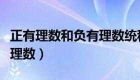 正有理数和负有理数统称为有理数对吗（正有理数）
