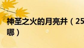 神圣之火的月亮井（25级 神圣之火 月亮井在哪）