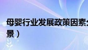 母婴行业发展政策因素分析（母婴行业发展前景）