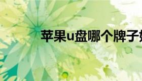 苹果u盘哪个牌子好（苹果u盘）