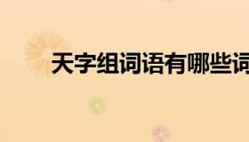 天字组词语有哪些词语（天字组词）