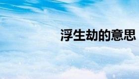 浮生劫的意思（浮生劫）