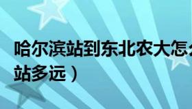 哈尔滨站到东北农大怎么坐车（哈尔滨站到东站多远）