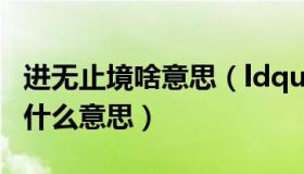 进无止境啥意思（ldquo 进无止境 rdquo 是什么意思）