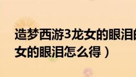 造梦西游3龙女的眼泪的用法（造梦西游3龙女的眼泪怎么得）