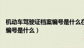 机动车驾驶证档案编号是什么在哪里看（机动车驾驶证档案编号是什么）