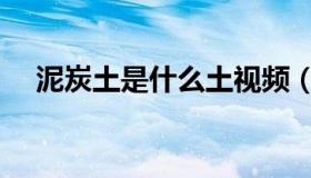 泥炭土是什么土视频（泥炭土是什么土）
