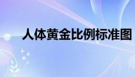 人体黄金比例标准图（人体黄金比例）