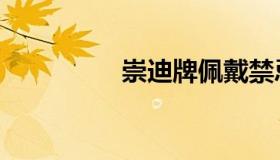 崇迪牌佩戴禁忌（崇迪）