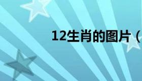 12生肖的图片（12S4图集）