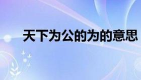 天下为公的为的意思（天下为公的为）