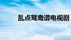 乱点鸳鸯谱电视剧（乱点鸳鸯谱）