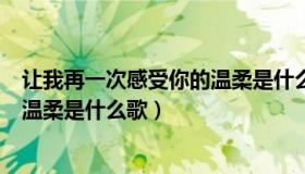 让我再一次感受你的温柔是什么歌名（让我再一次感受你的温柔是什么歌）