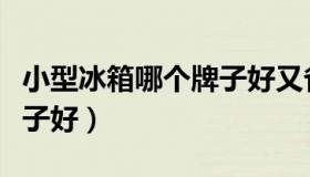小型冰箱哪个牌子好又省电（小型冰箱哪个牌子好）