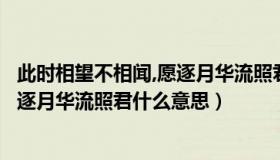 此时相望不相闻,愿逐月华流照君啥意思（此时相望不相闻愿逐月华流照君什么意思）