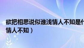 欲把相思说似谁浅情人不知是什么意思（欲把相思说似谁浅情人不知）