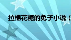 拉棉花糖的兔子小说（拉棉花糖的兔子）