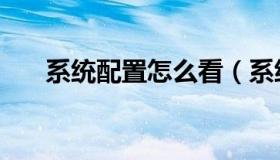 系统配置怎么看（系统配置怎么打开）