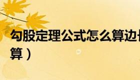 勾股定理公式怎么算边长（勾股定理公式怎么算）