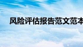 风险评估报告范文范本（风险评估报告）