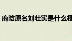 鹿晗原名刘壮实是什么梗（鹿晗原名刘壮实）