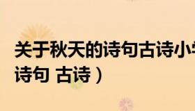 关于秋天的诗句古诗小学二年级（关于秋天的诗句 古诗）