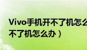 Vivo手机开不了机怎么查型号（vivo手机开不了机怎么办）
