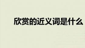 欣赏的近义词是什么（欣赏的近义词）