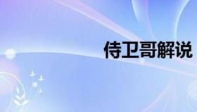 侍卫哥解说（侍卫）