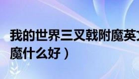 我的世界三叉戟附魔英文（我的世界三叉戟附魔什么好）