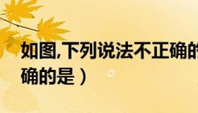 如图,下列说法不正确的是（如图下列说法正确的是）