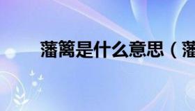 藩篱是什么意思（藩篱是什么意思）