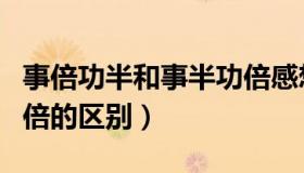 事倍功半和事半功倍感想（事倍功半和事半功倍的区别）