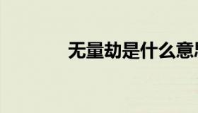 无量劫是什么意思（无量劫）
