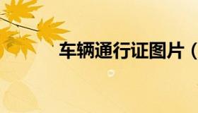 车辆通行证图片（车辆通行证）