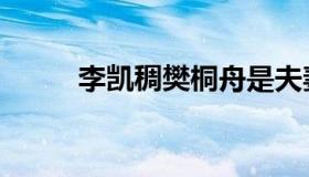 李凯稠樊桐舟是夫妻吗（李凯稠）