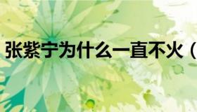 张紫宁为什么一直不火（张紫宁为什么退团）
