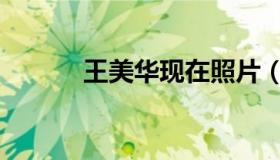 王美华现在照片（王美华三级）