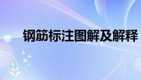 钢筋标注图解及解释（钢筋标注图解）