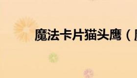 魔法卡片猫头鹰（魔法卡片论坛）