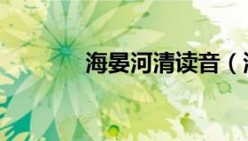 海晏河清读音（海晏的小说）